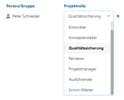 Project manager and executor as project roles