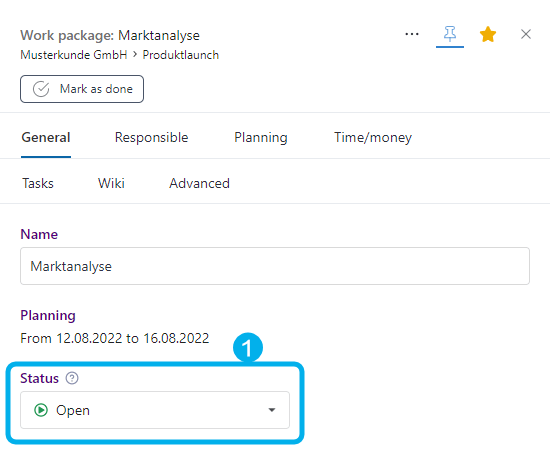 The status in the inspector of a work package