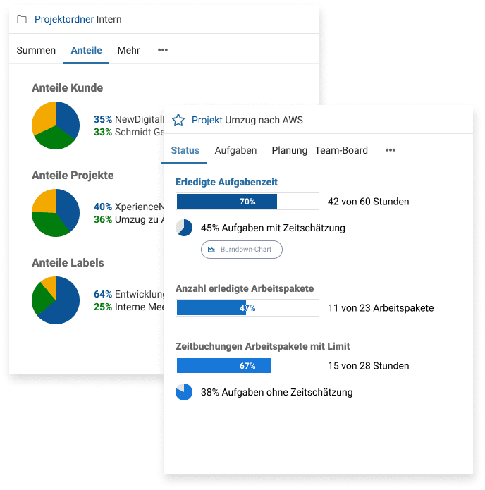 Multiprojektmanagement und Controlling mit Kennzahlen 
