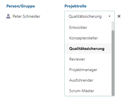 projektrollen.png